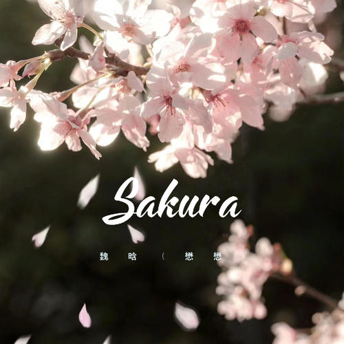 Sakura