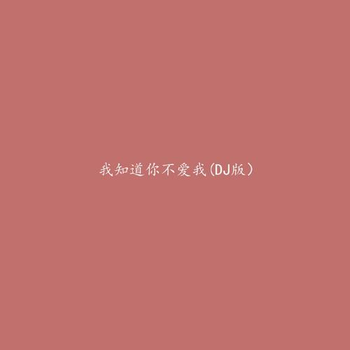 我知道你不爱我 (DJ版)