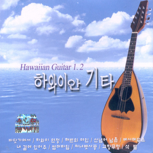 하와이안 기타 1, 2집