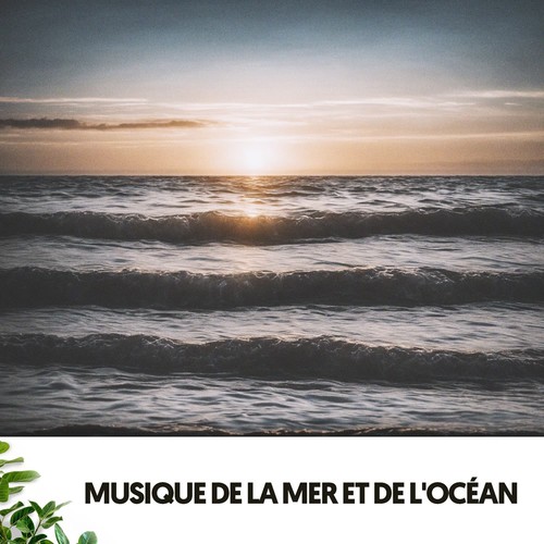 Musique de la Mer et de l'Océan : Mélodies d'Eau et de Sérénité