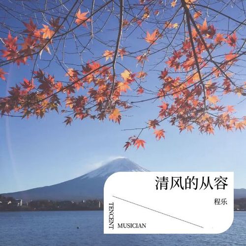 清风的从容