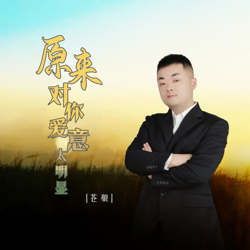 原来对你爱意太明显