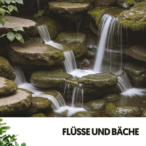 Flüsse und Bäche: Serenade der Natur