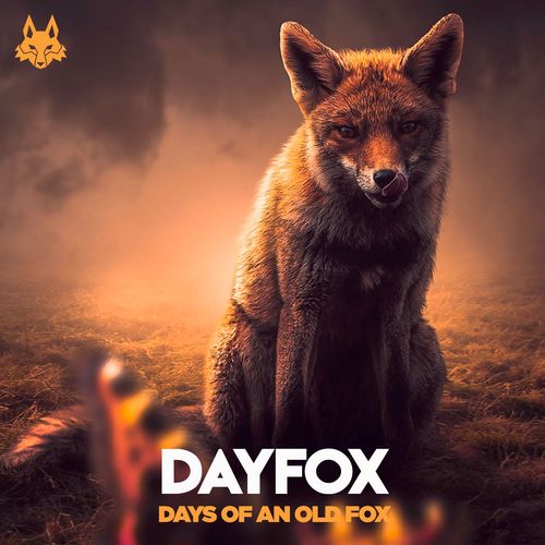 Days of An Old Fox