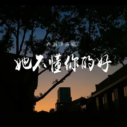 她不懂你的好
