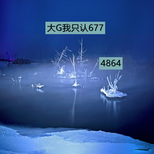 大G我只认677