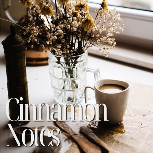 Cinnamon Notes (A Cup of Comfort)