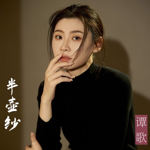 半壶纱