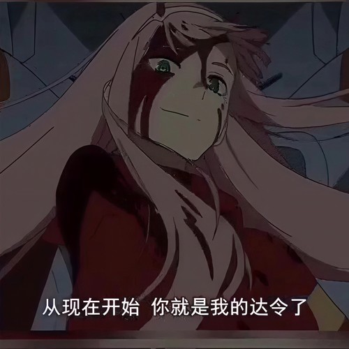 Darling - 空匪