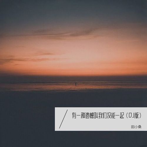 有一种遗憾叫我们没能一起（DJ版）