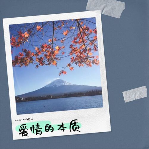 爱情的本质