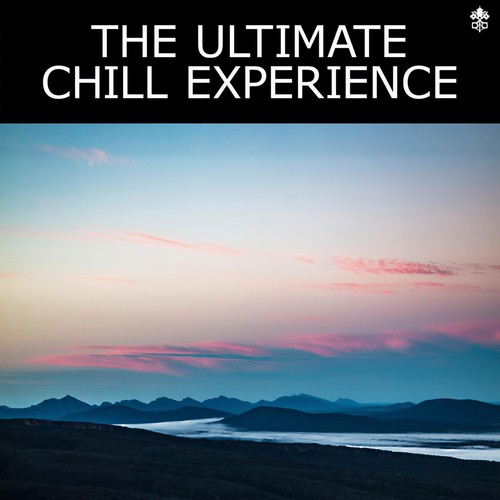 The Ultimate Chill Experience