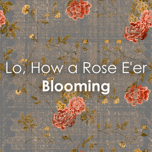 Lo, How a Rose E'er Blooming (White Lotus Season 3 - Final Scene)