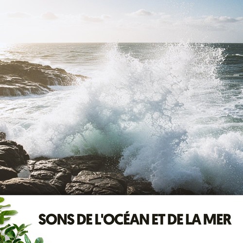 Sons de l'Océan et de la Mer: Harmonie et Force