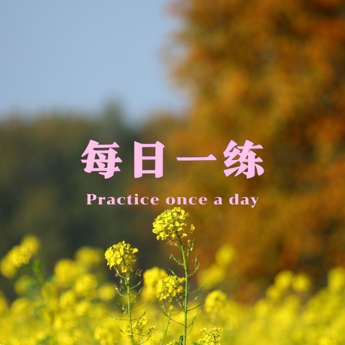 每日一练