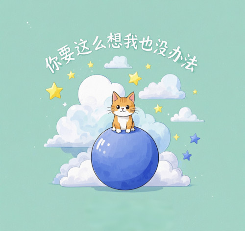你要这么想 我也没办法