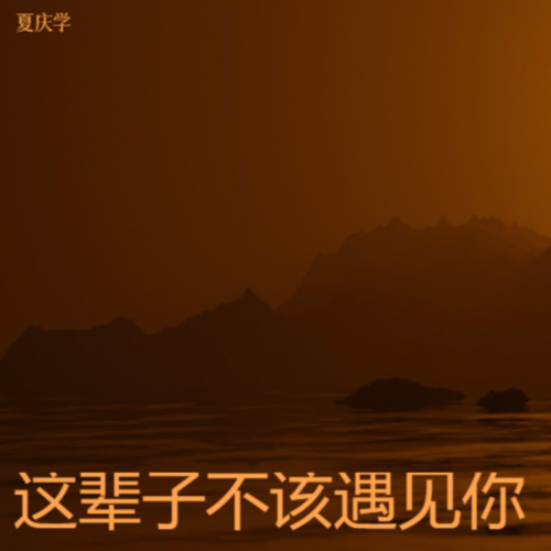 这辈子不该遇见你