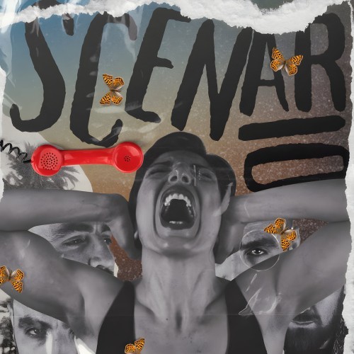 Scenario