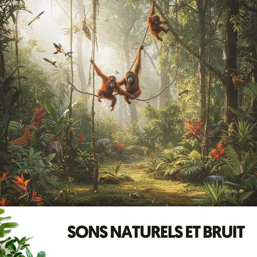 Sons Naturels et Bruit: Symphonie des Mélodies de la Terre