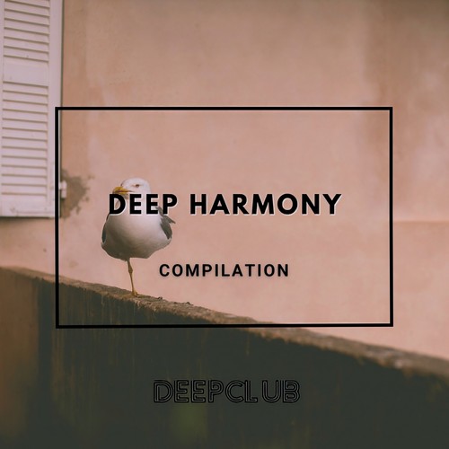 Deep Harmony