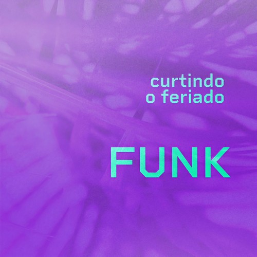 Curtindo o Feriado Funk (Explicit)