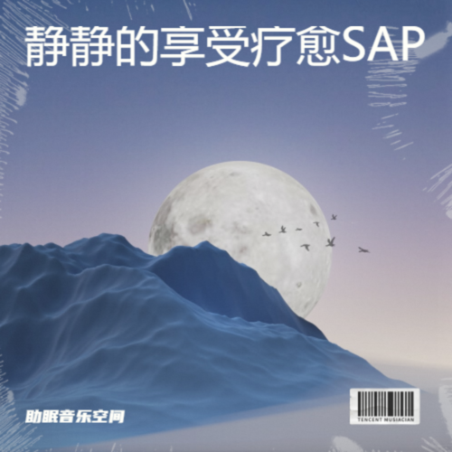 静静的享受疗愈SAP