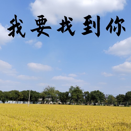 我要找到你 (氛围版)
