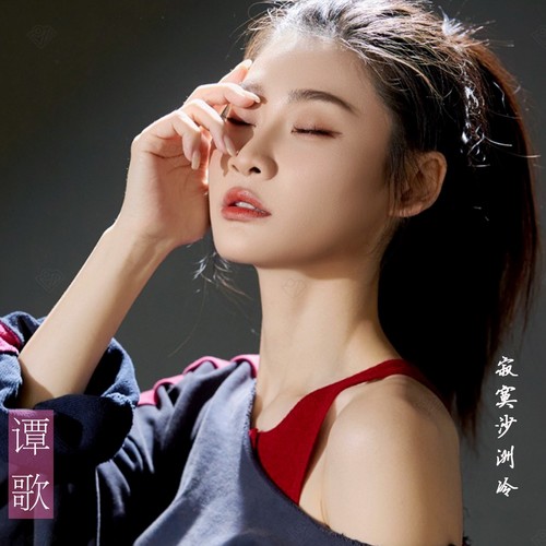 寂寞沙洲冷