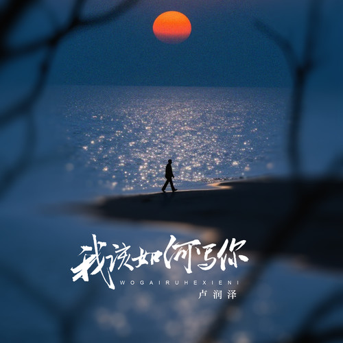 我该如何写你
