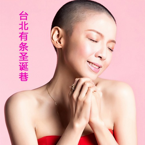 台北有条圣诞巷