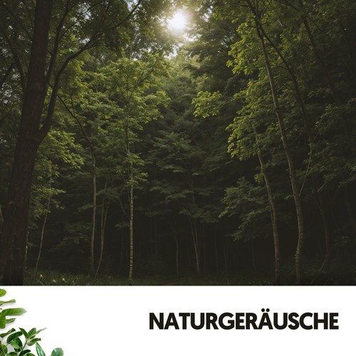 Naturgeräusche: Wege zu friedlichen Abenteuern