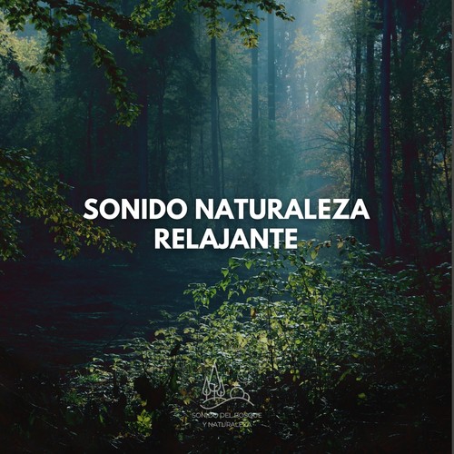 Sonido Naturaleza Relajante