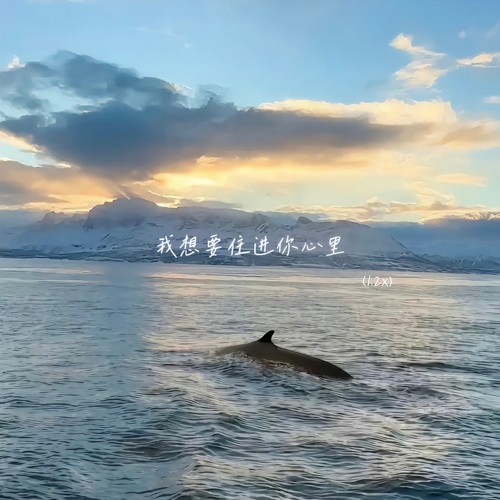我想要住进你心里 (1.2x)