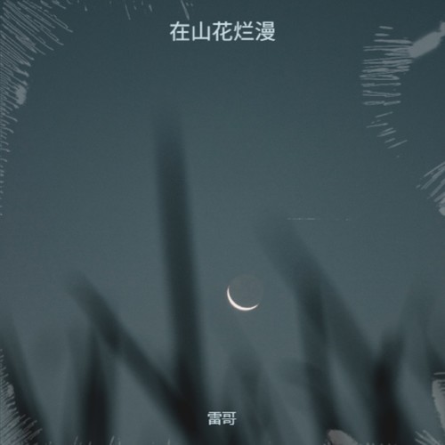 在山花烂漫
