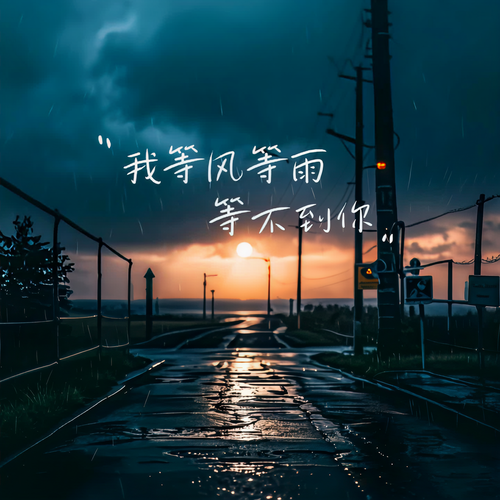 我等风等雨等不到你(DJ版) - 若汐