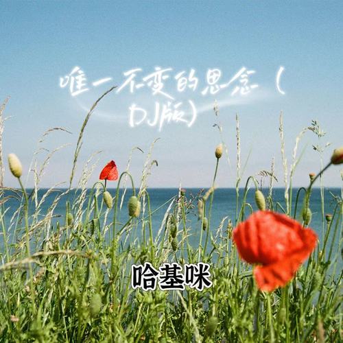 唯一不变的思念（DJ版）