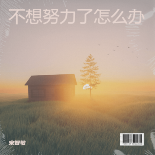 不想努力了怎么办