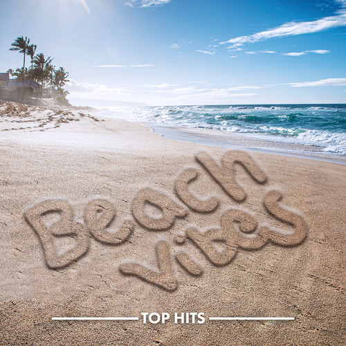 Beach Vibes 2022 (Explicit)