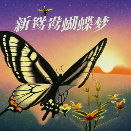 新鸳鸯蝴蝶梦