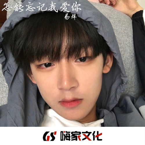 怎能忘记我爱你