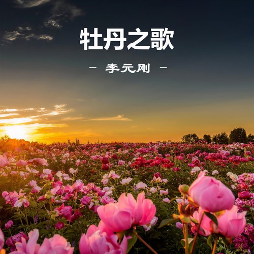 牡丹之歌