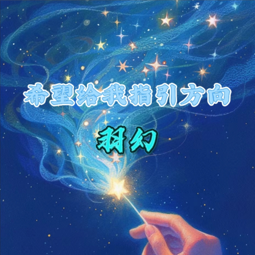 希望给我指引方向