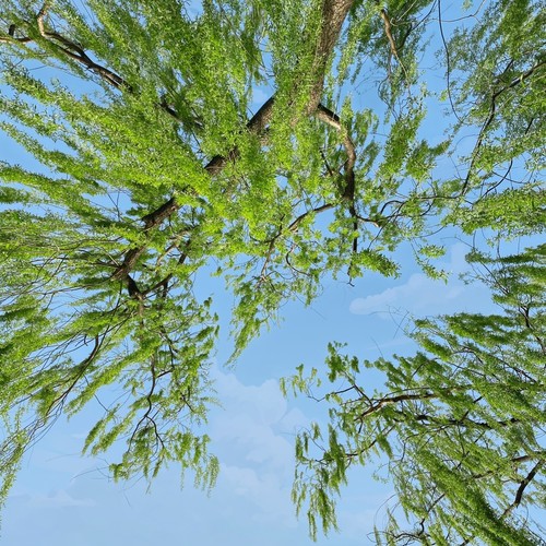 21世纪20年代的第一个夏天（the first summer in 2020s）