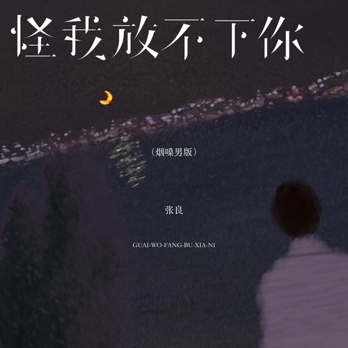怪我放不下你（烟嗓男版）