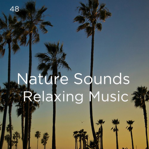 48 Nature Sounds Relaxing Music