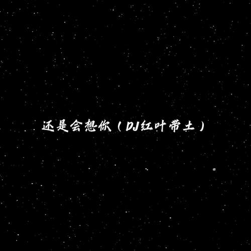还是会想你 (DJ红叶带土)