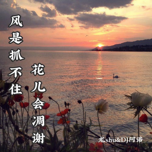 风是抓不住 花儿会凋谢