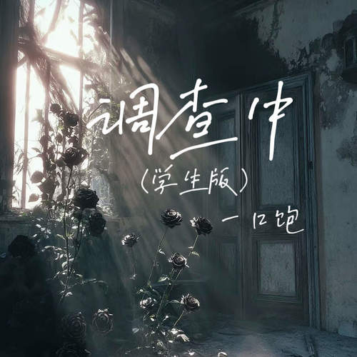 调查中 (学生版)