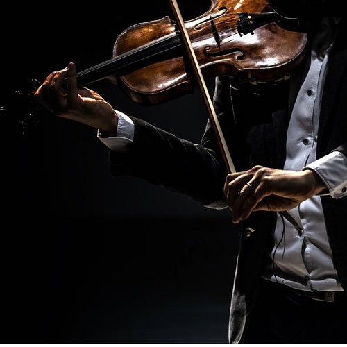 Symphony in the Meadow: Gentle Orchestra Echoes