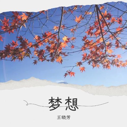 梦想丽
